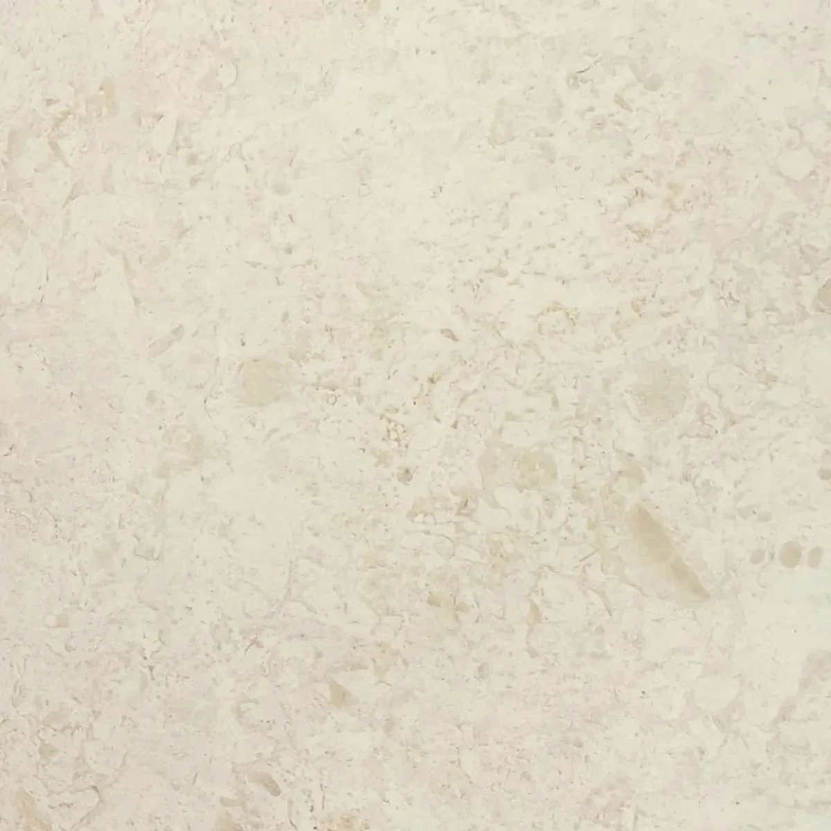 Desert Rose limestone, cream with a soft fossil-like pattern, tile