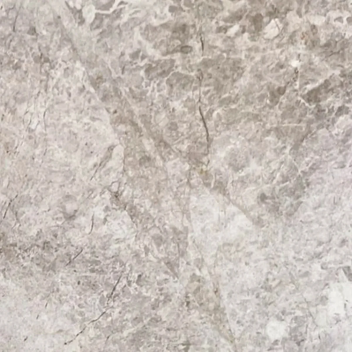 Gray Fantasy marble, mottled grey with taupe patches, tile