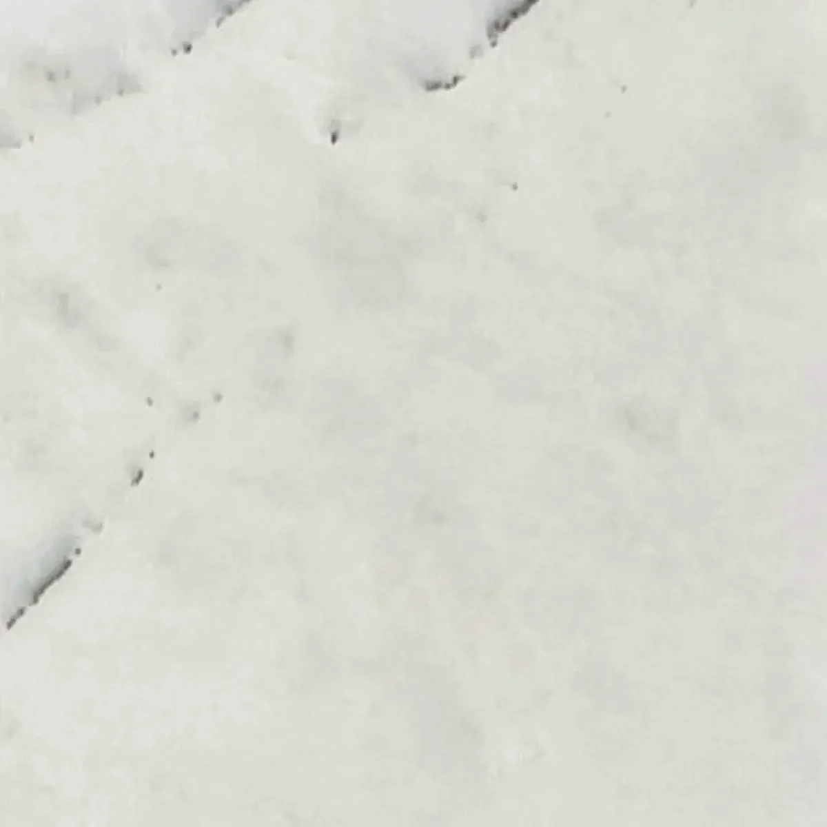 Newyork marble, white with fine dark grey veins, tile
